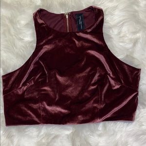 Velvet Mauve Crop Top